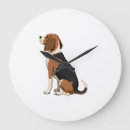 Recherche de chiot beagle horloges Loup