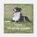 Recherche de chien berger australien magnets Chiens