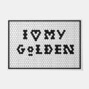 Recherche de goldendoodle Doré