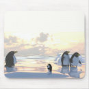 Recherche de manchot tapis souris Oiseau