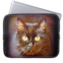 Recherche de ordinateur portable de chat Chatte