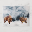 Zoek naar buffalo briefkaarten Bos
