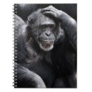 Recherche de primates carnets Chimpanzé