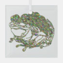 Recherche de de grenouille ornements Arc en ciel