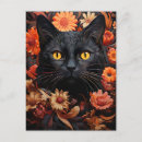 Recherche de petit chat noir cartes postales Pour tous