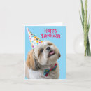 Recherche de tzu vœux cartes Canine