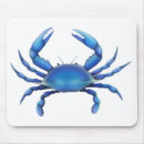 Recherche de mollusques et crustacés tapis souris Crabes