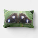 Recherche de beaux papillons coussins Insecte