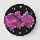 Recherche de orchidées horloges Nature