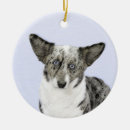 Zoek naar cardigan welsh corgi ornamenten Hond