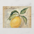 Recherche de jaune citron cartes postales Fruit