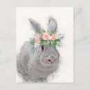 Recherche de joli lapin cartes postales Adorable