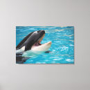 Recherche de baleine noire art Faune