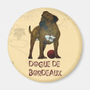 Zoek naar bordeaux magneten Franse mastiff
