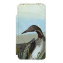 Recherche de audubon john james iphone coques Oiseaux