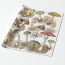 Recherche de champignons papier cadeau Motif de champignons