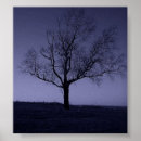 Recherche de purle Violet