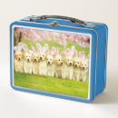 Zoek naar honden lunchboxen Grappig