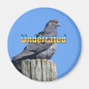 Recherche de écologie magnets Oiseaux
