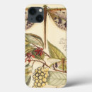 Recherche de insecte coques Studio de vision