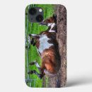 Zoek naar grappige ipad hoesjes Paardenliefhebbers
