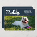 Recherche de coquelicot invitations Chiot