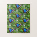 Recherche de papillons bleus puzzles Nature