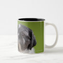 Recherche de colons tasses Chien