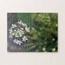 Recherche de fleurs blanches puzzles Floral