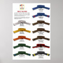 Recherche de ceinture noire posters Tkd