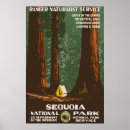 Recherche de sequoia posters Usa