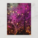 Recherche de marché de noël cartes postales Lumières