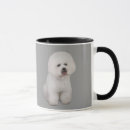 Recherche de bichon frise tasses Chiot