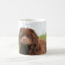 Recherche de chiot de terre neuve tasses Drôle