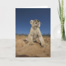 Recherche de panthera vœux cartes Animal