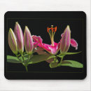 Recherche de bourgeon tapis souris Jardin
