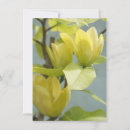 Recherche de arbre de magnolia Jardin