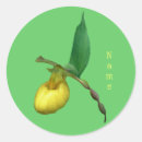 Recherche de orchidée jaune autocollants Floral