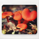 Recherche de champignon tapis souris Sauvage