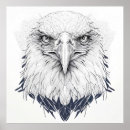 Recherche de dessin d aigle posters Animal