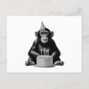 Zoek naar chimpansee posters Oud