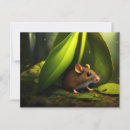 Zoek naar muis briefkaarten Bos