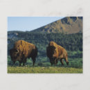 Recherche de parc cartes postales Canada