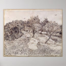 Zoek naar olijfboom posters Vincent van gogh