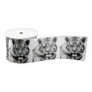 Recherche de tigre blanc rubans Chat
