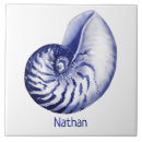 Recherche de nautilus carreaux Nautique