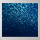 Recherche de poissons abstraits posters Plage