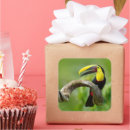 Recherche de de facture autocollants Pour tous