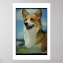 Recherche de welsh corgi posters Chien
