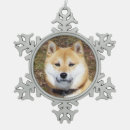 Recherche de inu de shiba Dog
